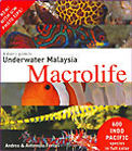 A Diver's Guide to Underwater Malaysia Macrolife